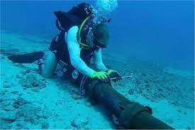 اليمن ينفي استهداف كابلات الإنترنت الدولية في البحر الأحمر