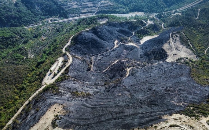 الدفاع المدني يخمد الحريق بقرية باشورة في اللاذقية بعد عشر ساعات من العمل المتواصل