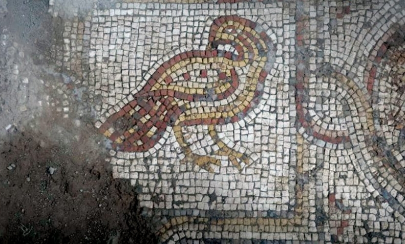 اكتشاف لوحة فسيفسائية في قرية ماعص بريف دمشق