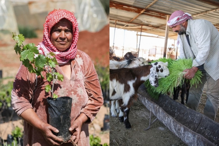 برنامج الزراعة والاستدامة المناخية في مؤسسة الآغا خان يعزز صمود أكثر من 40 ألف عائلة زراعية في سورية