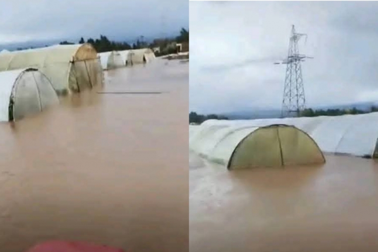 خسائر واسعة للمزارعين والمدنيين في الساحل السوري جراء العاصفة المطرية 