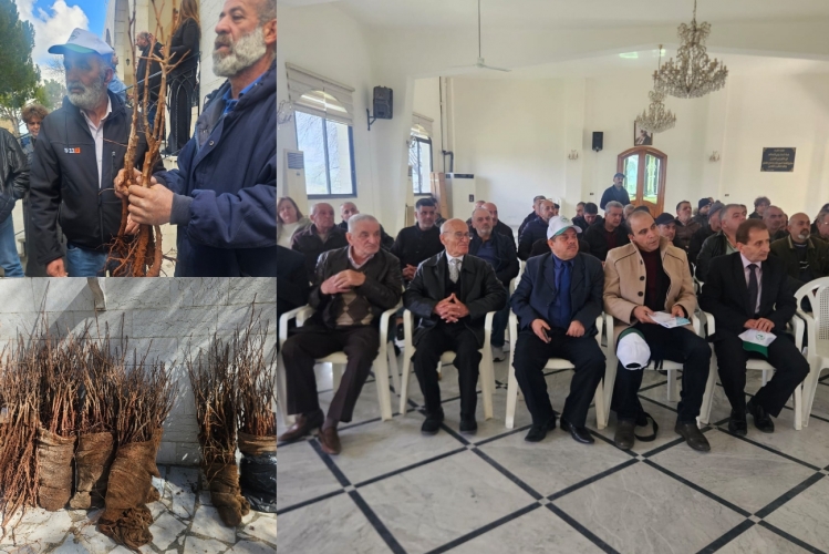 أكساد والزراعة اللبنانية تنظمان ندوة تدريبية حول زراعة الفستق الحلبي في جبل لبنان