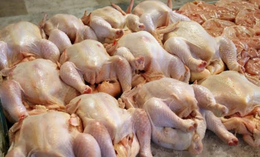 ارتفاع أسعار الفروج يرهق المستهلكين… ومربّو الدواجن يطالبون بدعم الإنتاج المحلي