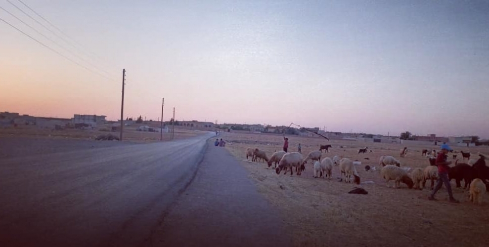 تجدد حوادث السطو في سلمية.. وإصابة صاحب منزل خلال اقتحام مسلح بقصد السرقة 