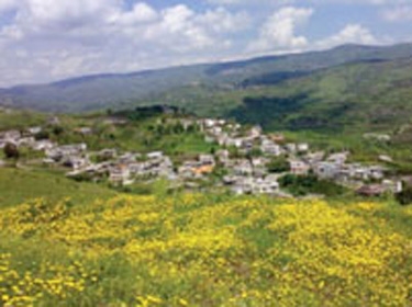 القبض على مسلحين في لبنان على الحدود مع سورية 