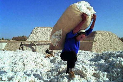 قطن 2010ينقل الكهرباء