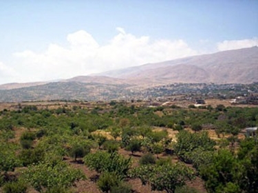 قرية حضر على مشارف الجولان المحتل.. سلة متنوعة للفواكه الصيفية