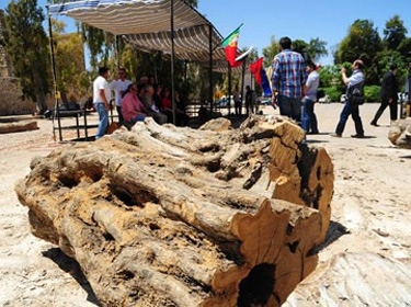 اتحاد الفنانين التشكيليين: مسابقة في التصوير والحفر والغرافيك والنحت والخزف