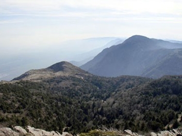 محمية الشوح والأرز في صلنفة من الغابات المتوسطية الفريدة التي تتبرج بألوان مختلفة