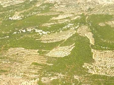 جارة الوادي.. جمال طبيعي ومناظر خلابة يزيد من روعتها قربها من وادي جهنم