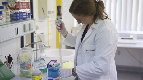 انتشار فيروس «زيكا» في البرازيل