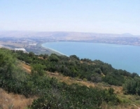 الجولان قلبُ بلادِ الشامِ وممرُّ دمشقَ إلى القدس  الحلقة الثانية: احتلال الأرض والتاريخ