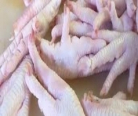 تعرف على الفوائد الصحية لـ 