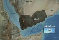 جزيرة سقطرى و صراع الأذناب        .بقلم  : عبدالمجيد حسين عزيز