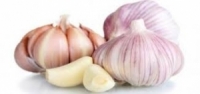 للثوم فوائد لا تنتهي.. من طرد البعوض إلى مكافحة السرطان