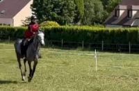 للعام الثاني على التوالي.. الفارسة ماسة تنبكجي تتأهل إلى بطولة العالم للقدرة والتحمل