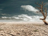 علماء صينيون يتوقعون اتساع رقعة الأراضي الجافة في العالم بنسبة 10% خلال القرن الحالي