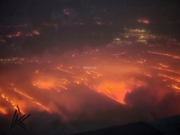 حرائق هائلة في غابات تكساس الامريكية وحالة الطوارئ في 60 مقاطعة