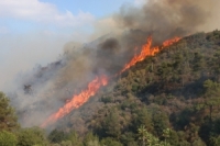 بدعم دولي.. فرق الإطفاء تواصل عملياتها للسيطرة على الحرائق باللاذقية