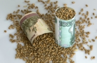 روسيا تحافظ على صدارتها العالمية في تصدير القمح في 2025